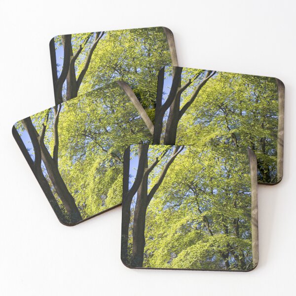 Item preview, Spring green Beech tree leaves designed and sold by FOLK ART FUSION by heidiannemorris.