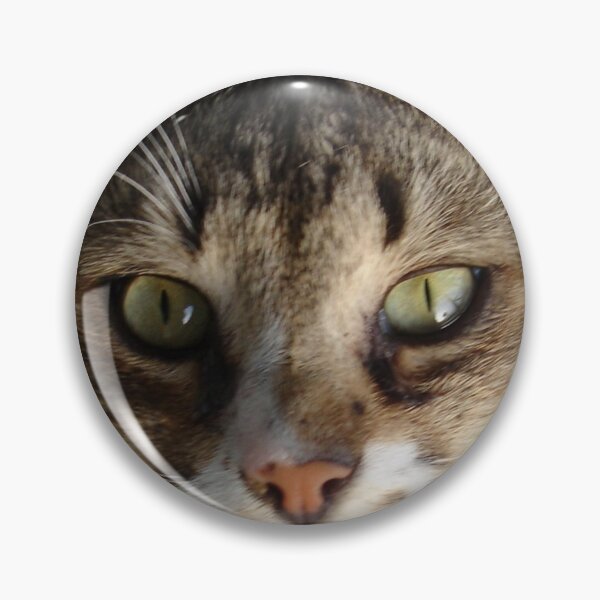 Artikelvorschau, Tabby-Katze Kätzchen geben Augenkontakt entworfen und verkauft von taiche.