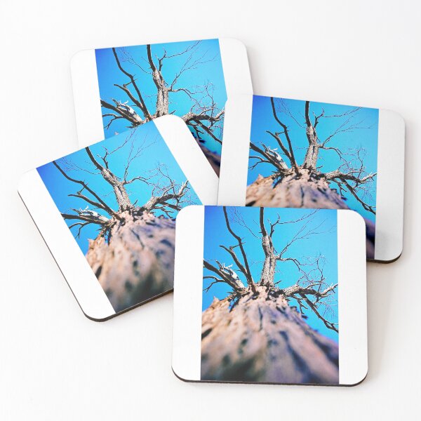 Item preview, Lookin up a tree designed and sold by AndyFeltonPix.