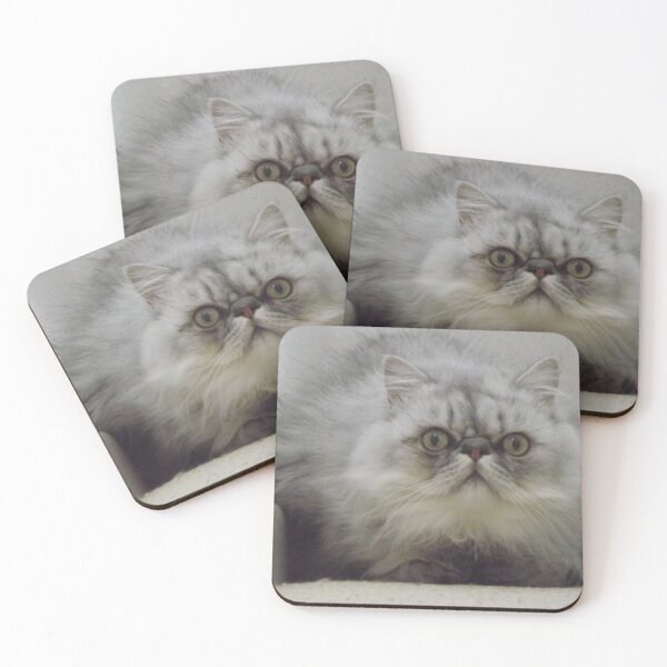 Item preview, Persian cat designed and sold by ZenythCatt.