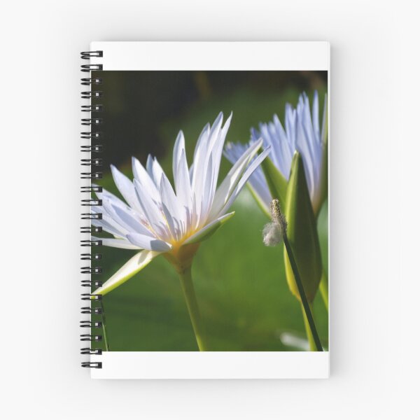 Item preview, Waterlily Tablet Case designed and sold by ginnymac.