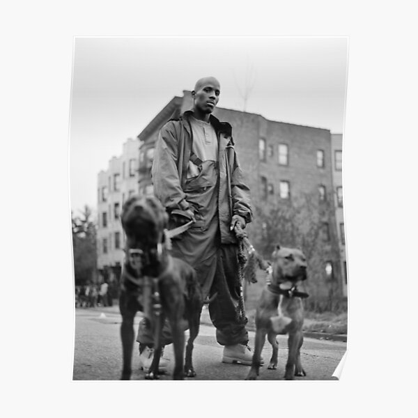 Vintage DMX Poster