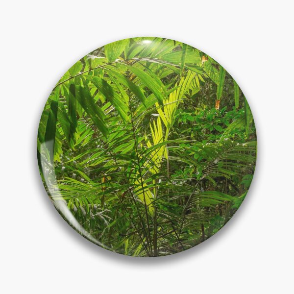 Item preview, Rainforest designed and sold by Photopat.
