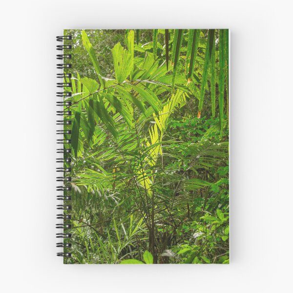 Item preview, Rainforest designed and sold by Photopat.