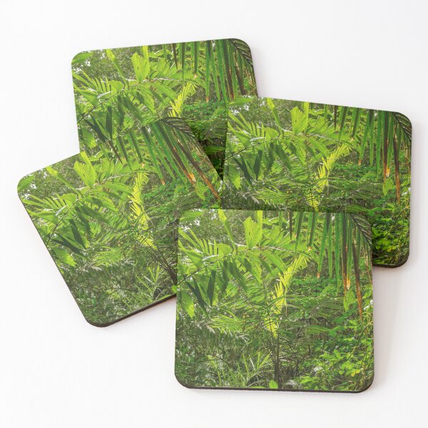 Item preview, Rainforest designed and sold by Photopat.