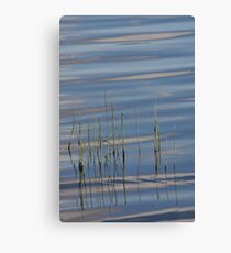 Dancing on Water Canvas Print