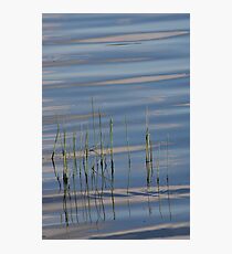 Dancing on Water Photographic Print
