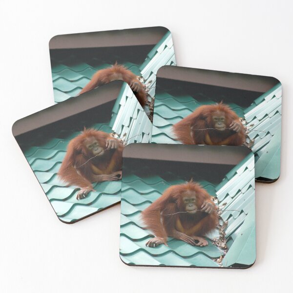 Item preview, Borneo Orangutan on Roof Photograph designed and sold by HotHibiscus.