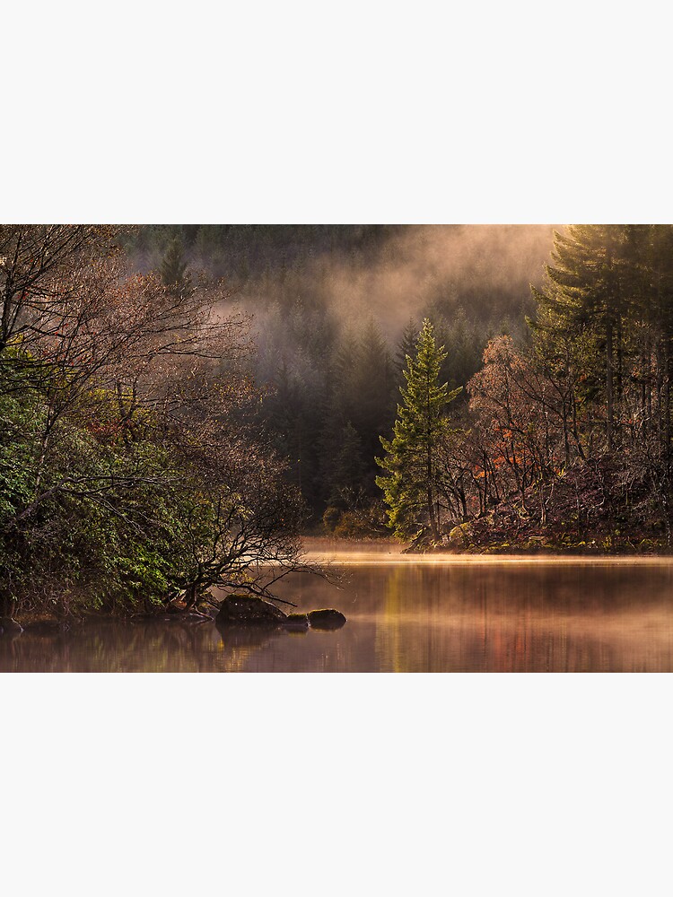 Misty Tranquility (2) by Shuggie