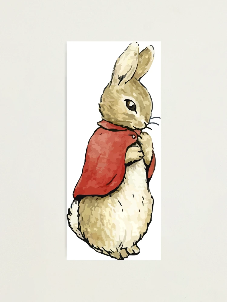 Cotton Tail Rabbit: Over 229 Royalty-Free Licensable Stock Illustrations &  Drawings