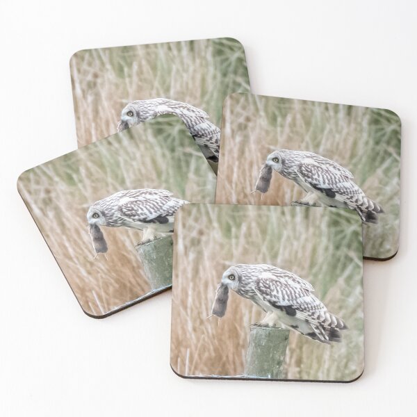 Item preview, short eared owl designed and sold by tammy mellor.