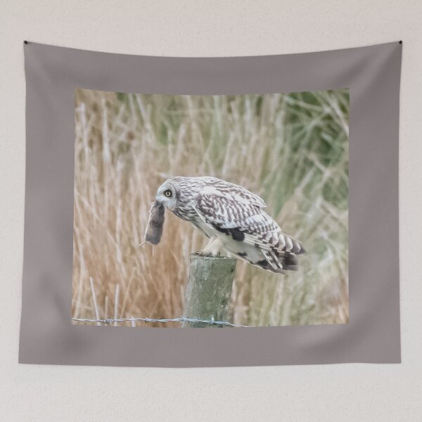 Item preview, short eared owl designed and sold by tammy mellor.
