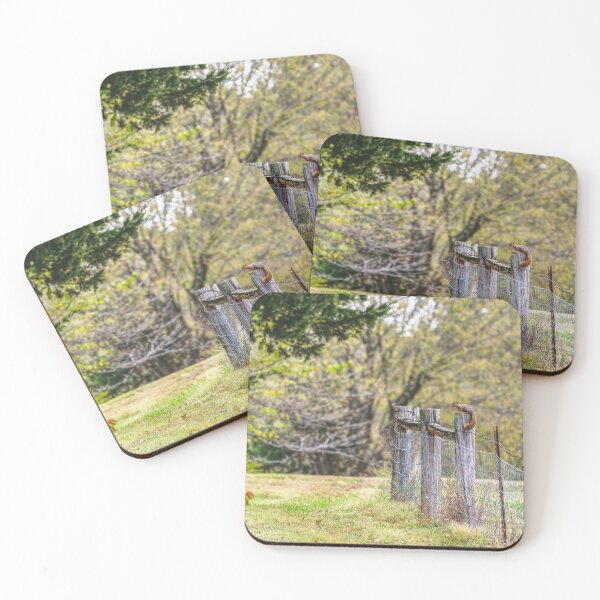 Item preview, Squirrel Fence Pose designed and sold by mljdwhite.