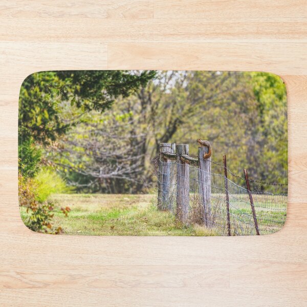 Item preview, Squirrel Fence Pose designed and sold by mljdwhite.
