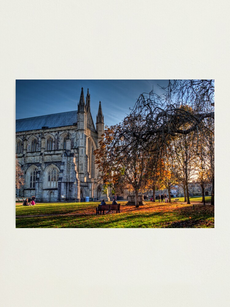 Alternate view of Late Autumn in the grounds of Winchester Cathedral Photographic Print