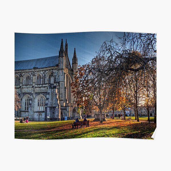 Late Autumn in the grounds of Winchester Cathedral Poster