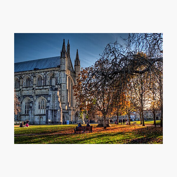 Late Autumn in the grounds of Winchester Cathedral Photographic Print