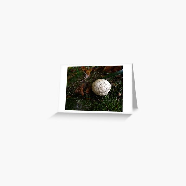 Item preview, Puffball designed and sold by Kat Simmons.