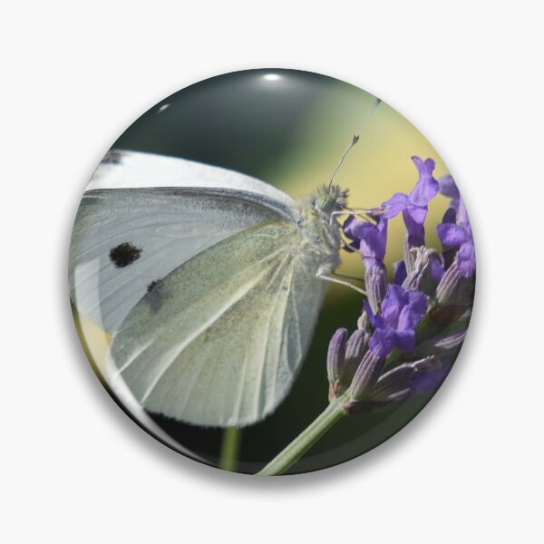 Item preview, Large White Butterfly (Pieris brassicae) designed and sold by Chris Monks.