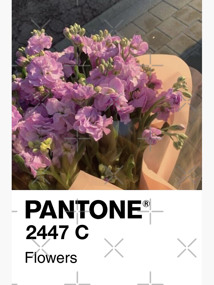 Pantone Monet's Garden Postcard for Sale by beekindstudio