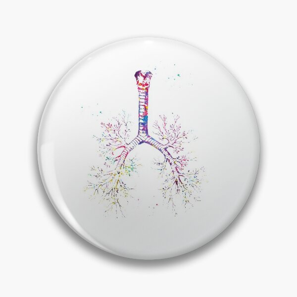 Item preview, Bronchial tree designed and sold by Liededrom..