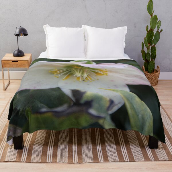 Item preview, Black hellebore white flower medicinal plant designed and sold by EstelleRossetti.