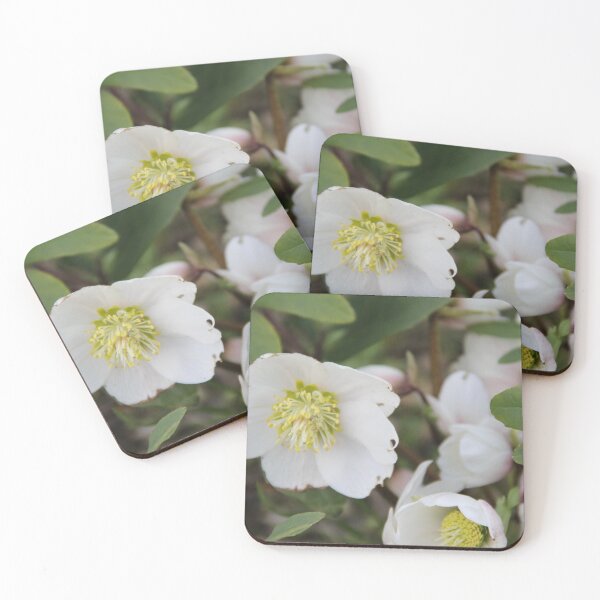 Item preview, Black hellebore white flower medicinal plant with a bee	 designed and sold by EstelleRossetti.