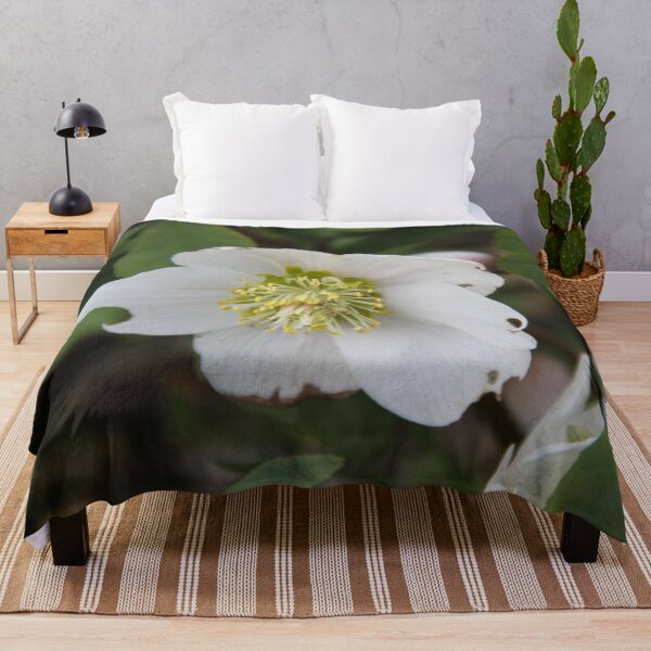 Item preview, Black hellebore white flower medicinal plant designed and sold by EstelleRossetti.