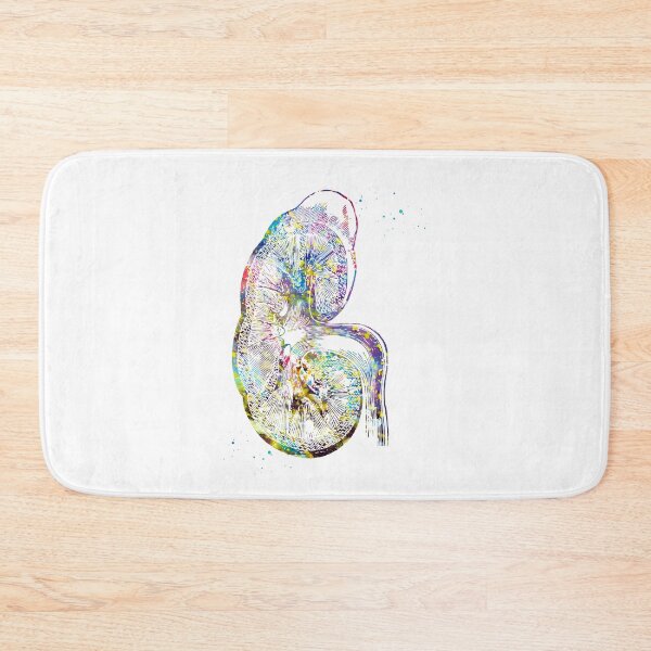 Item preview, Kidney section  designed and sold by Liededrom..