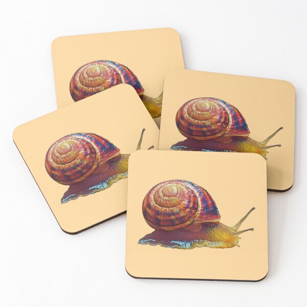 Item preview, Scrawling edible snail designed and sold by helenkaiy.