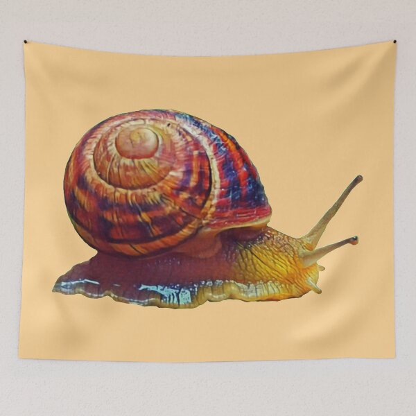 Item preview, Scrawling edible snail designed and sold by helenkaiy.