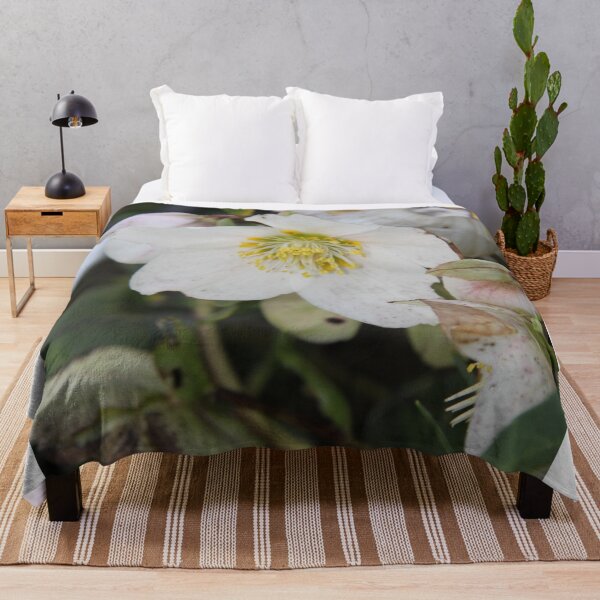 Item preview, Black hellebore white flower medicinal plant designed and sold by EstelleRossetti.