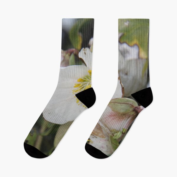 Item preview, Black hellebore white flower medicinal plant designed and sold by EstelleRossetti.