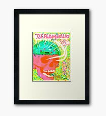Flaming Lips Austin City Limits Framed Print
