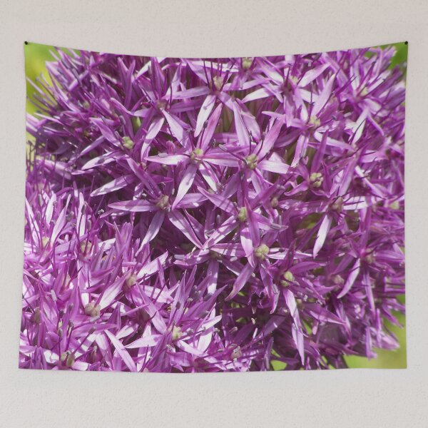 Item preview, Allium double designed and sold by Boscastle.