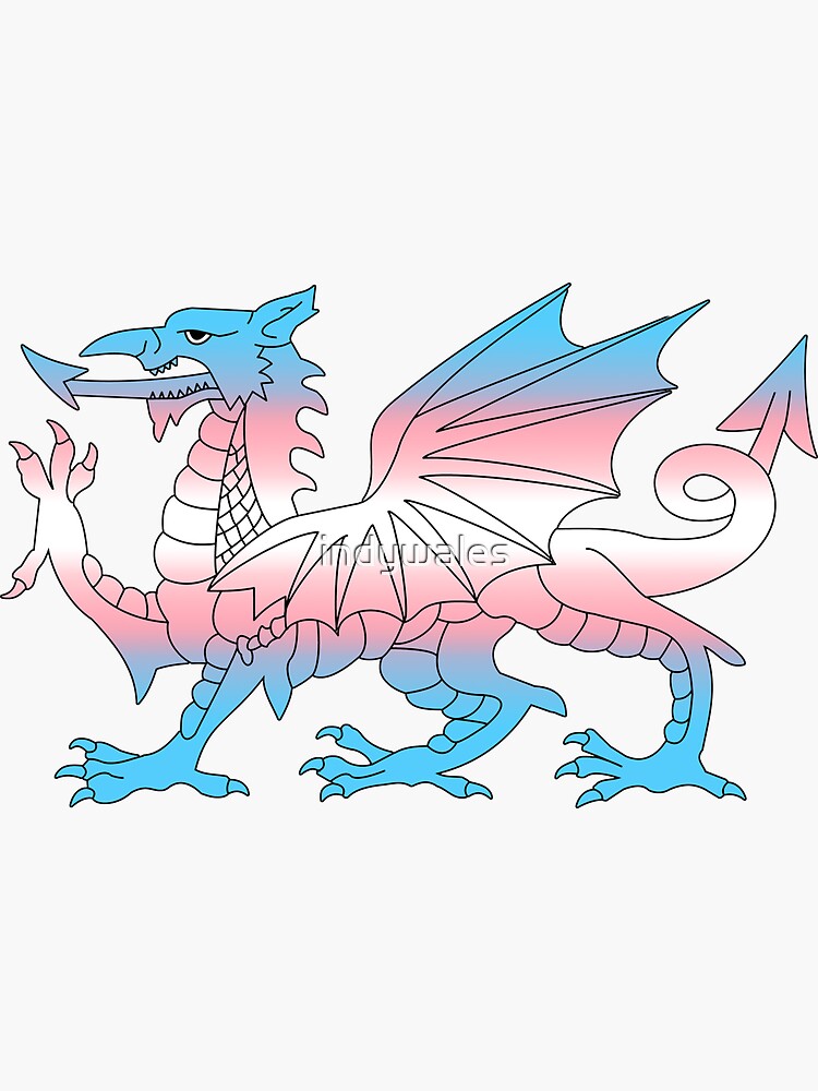 Wales Trans Flag, Baner Trans Cymru, Transgender, Cymraeg by indywales