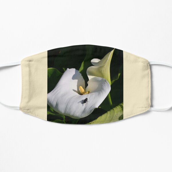 arums strongly attract insects Mask