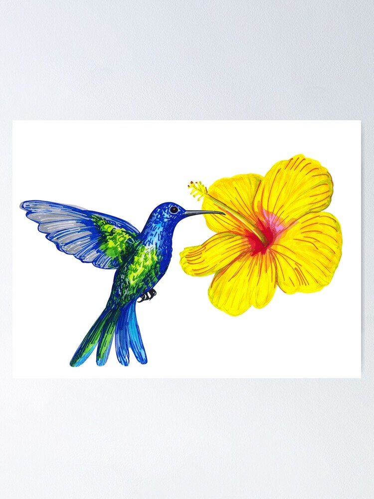 Poster Colibri Bleu Avec Fleur D Hibiscus Jaune Par Colibri77 Redbubble