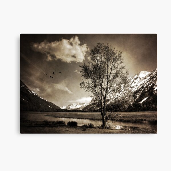 Some Things Will Be OK Canvas Print