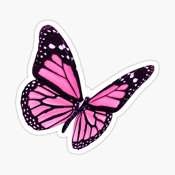 Pink Butterfly *aesthetic* Stickers | Redbubble