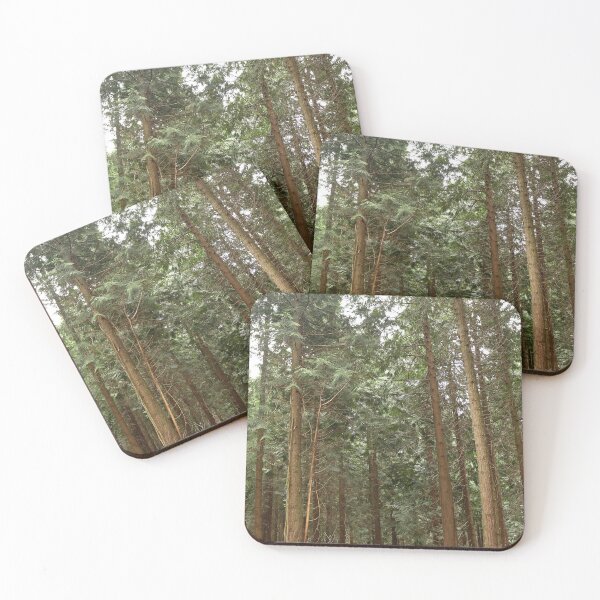Item preview, Pine trees in the forest designed and sold by pinkal.