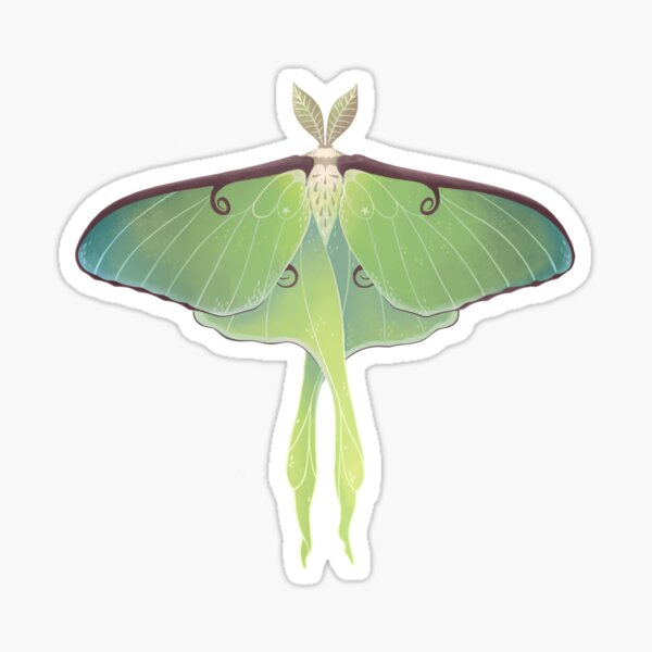 Lunar Moth Sticker