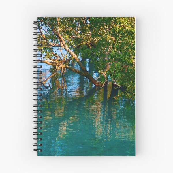 Item preview, Mangroves at Cygnet Bay designed and sold by Extraordinary Light.