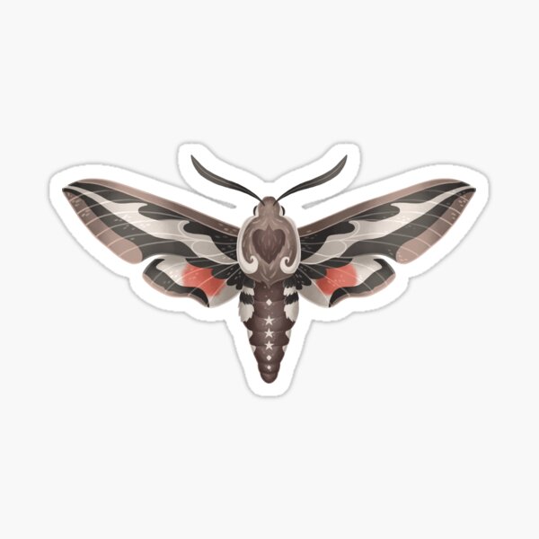 Hawk Moth Sticker