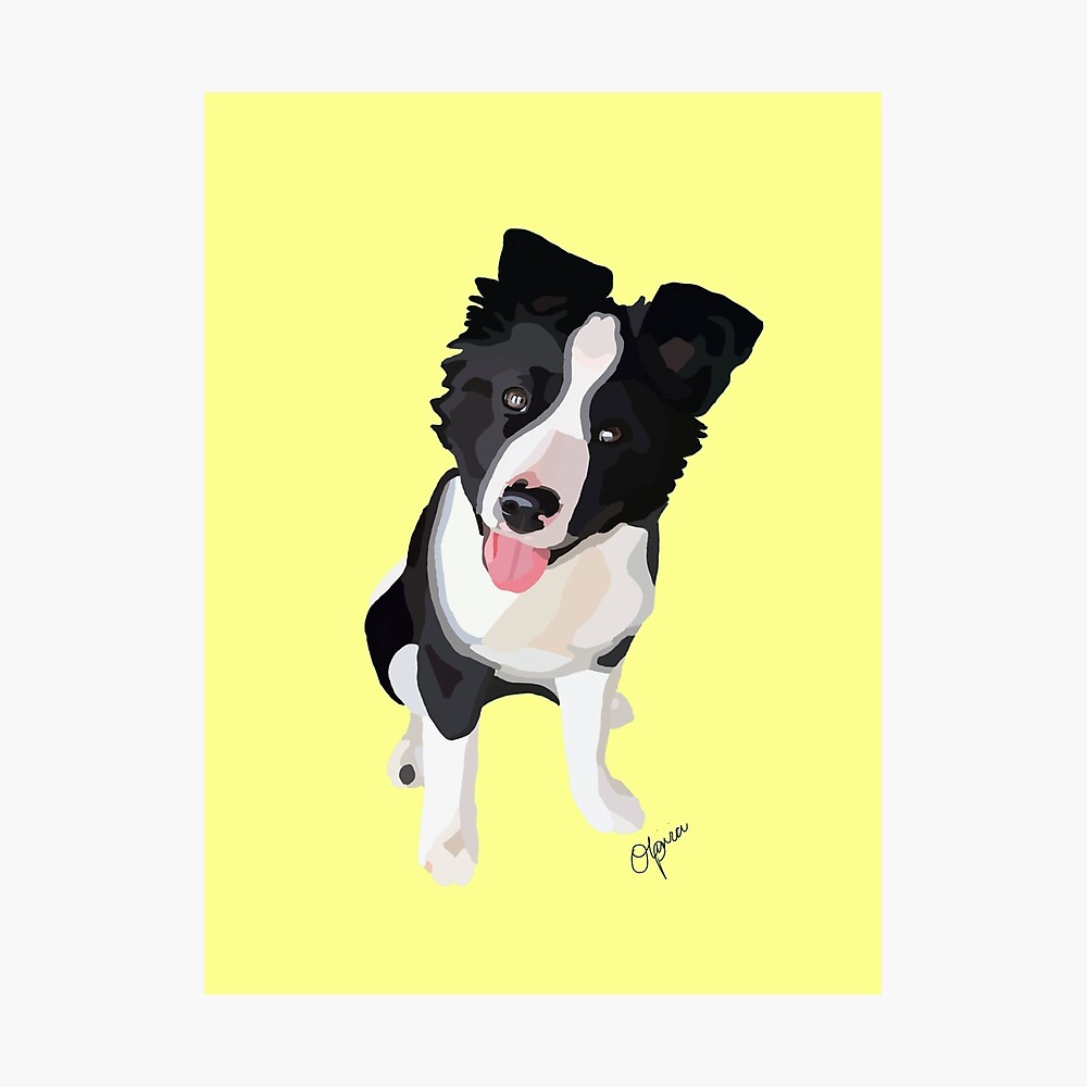 Frida The Border Collie And Australian Shepherd Mix Metal Print By Oliveartsy Redbubble