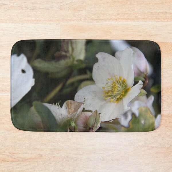 Item preview, Black hellebore white flower medicinal plant  designed and sold by EstelleRossetti.