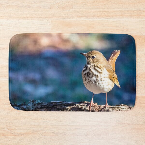 Item preview, Hermit Thrush In Winter designed and sold by ElizabethiB.