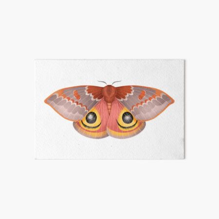 Io Moth Art Board Print