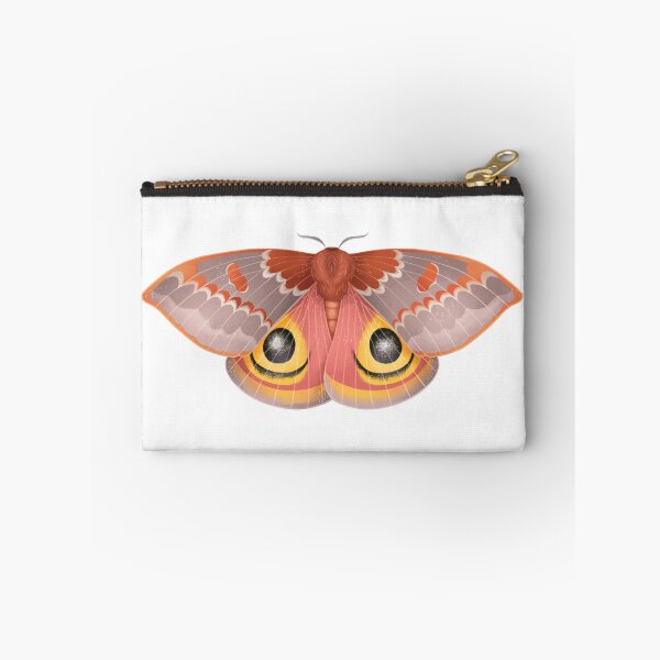 Aperçu de l'œuvre Io Moth créée et vendue par Griffonne.
