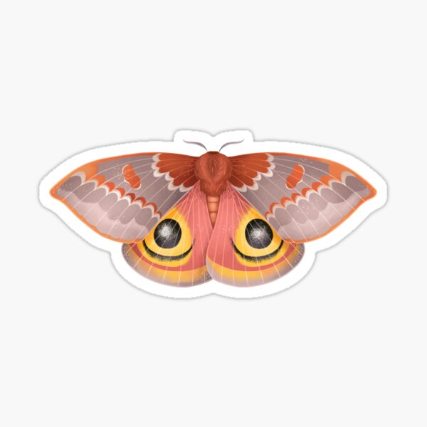 Io Moth Sticker